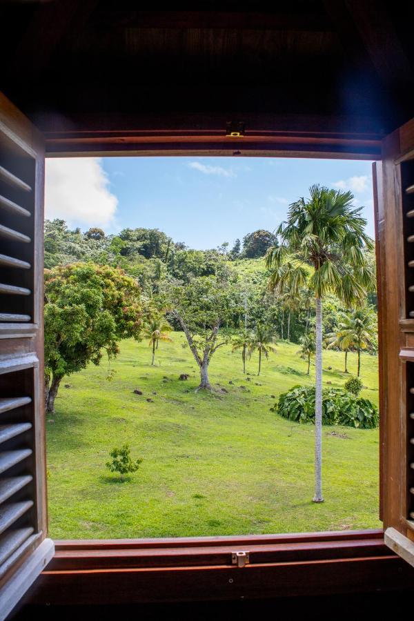 Hotel Jardin Malanga Basse-Terre Zewnętrze zdjęcie